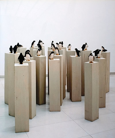 exkursion_pinguine